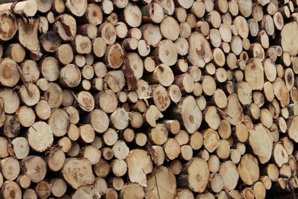 Treatment of timber BEFORE CONSTRUCTION